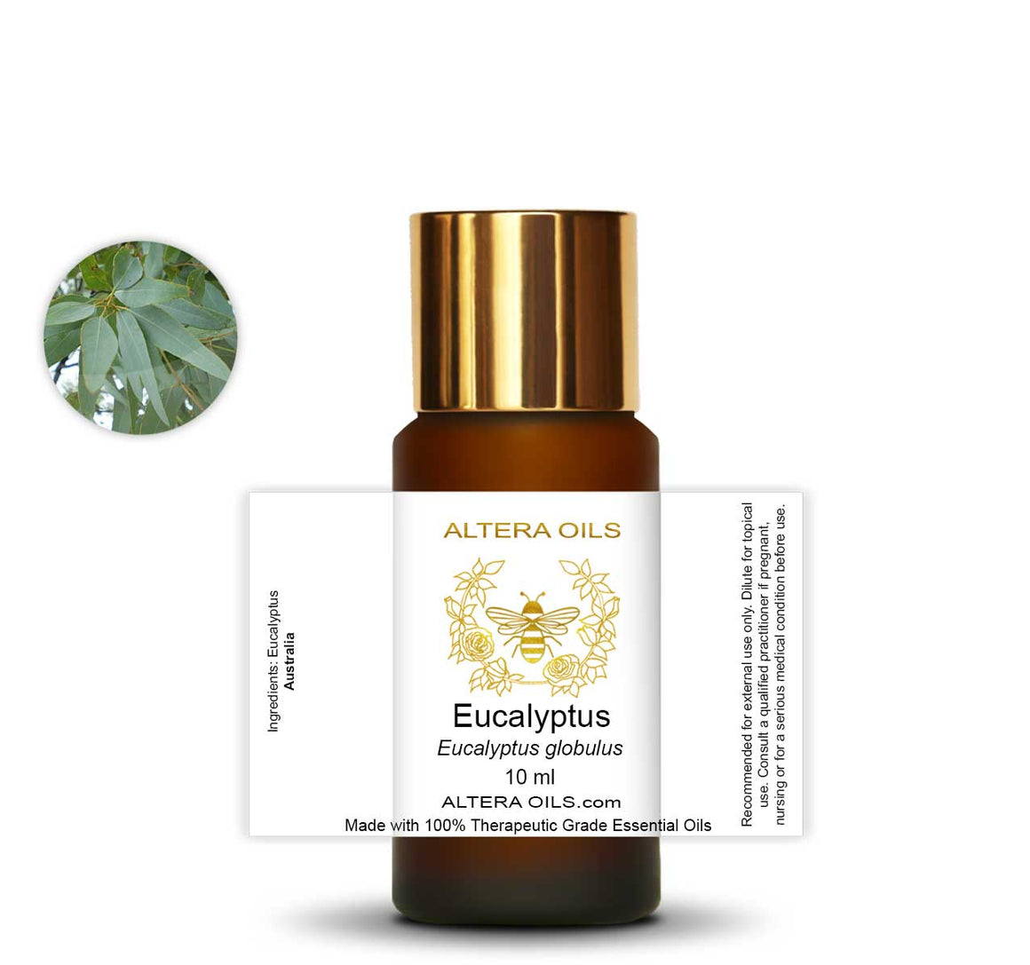 Organic eucalyptus essential oil