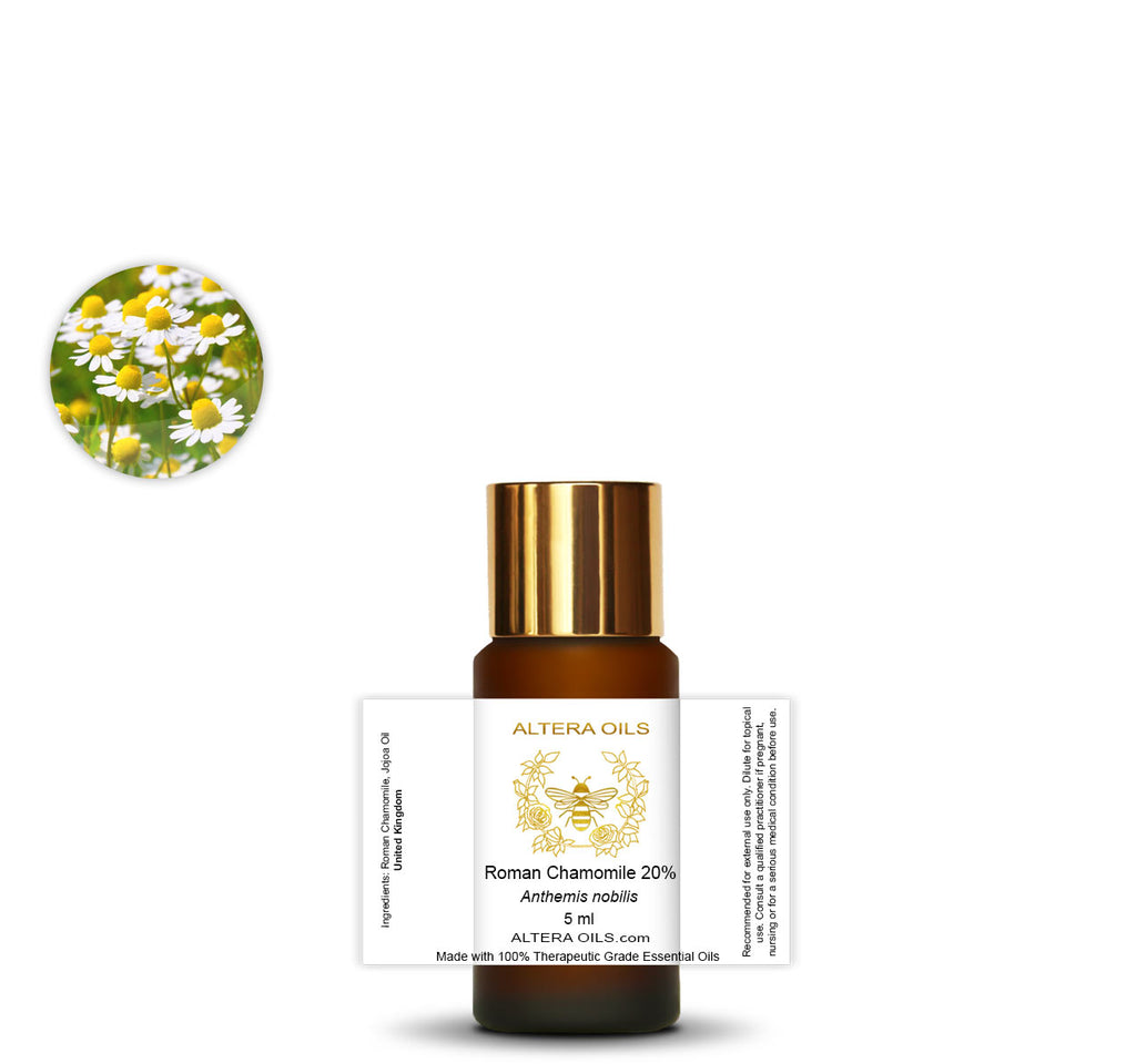organic roman chamomile essential oil