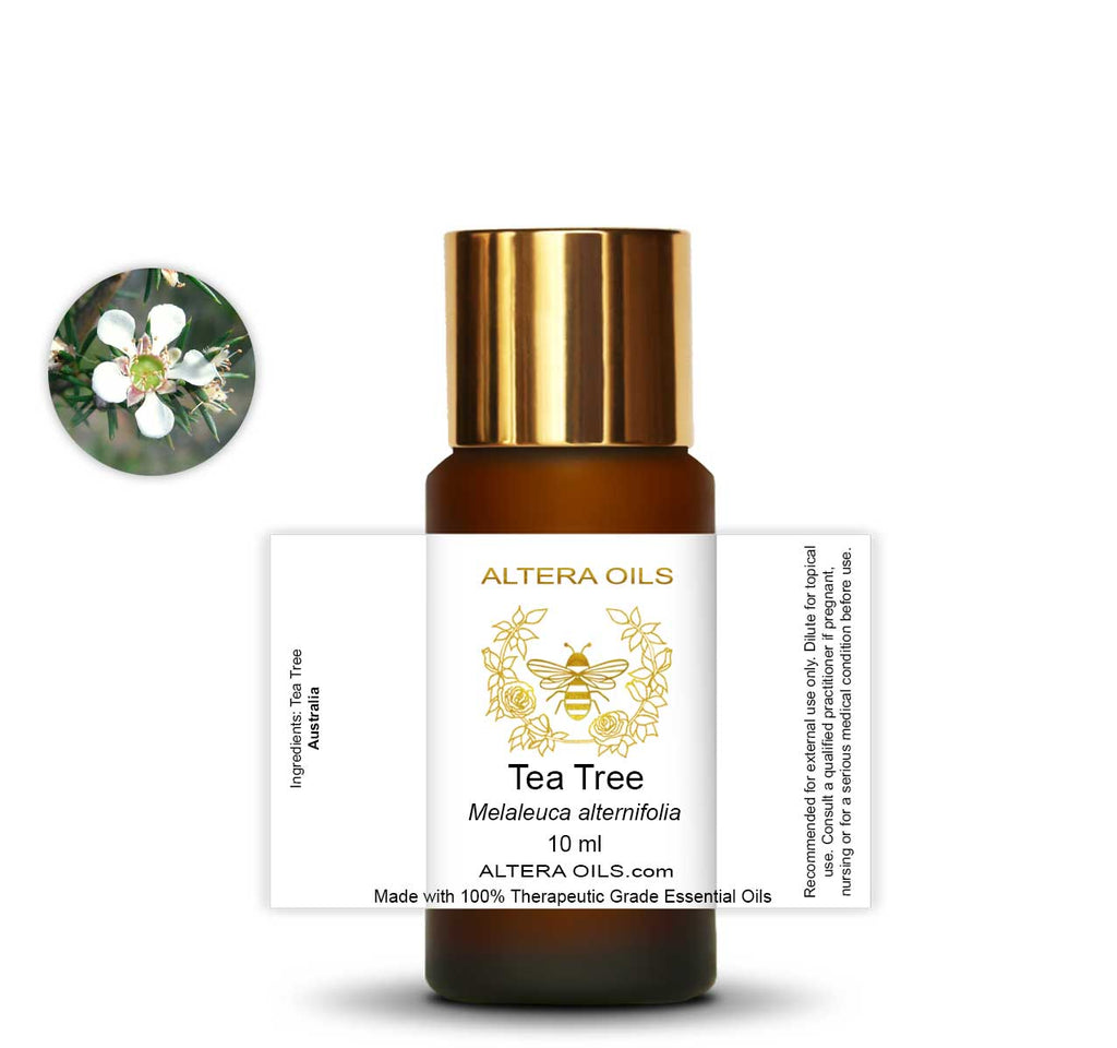 Organic tea tree essential oil